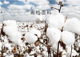 杏耀品牌短袖T恤使用的面料