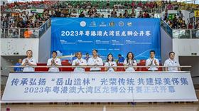 2023年粤港澳大湾区龙狮公开赛 图1