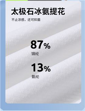 太极石功能杏耀T恤5