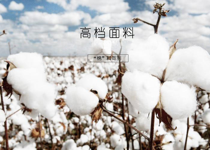 杏耀订制运动短裤使用的面料